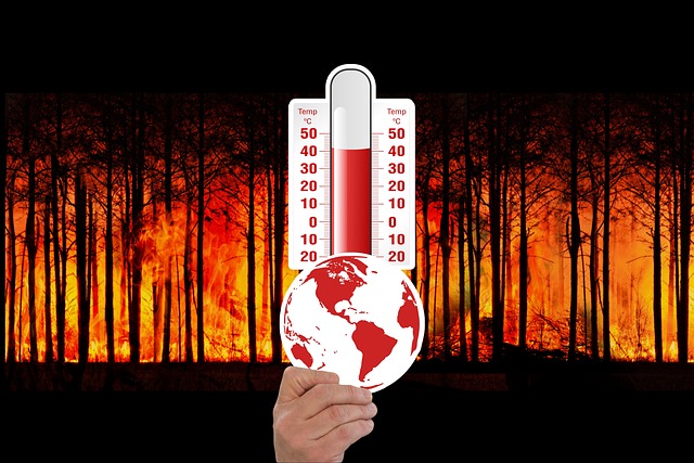 climate-change-3836835_640