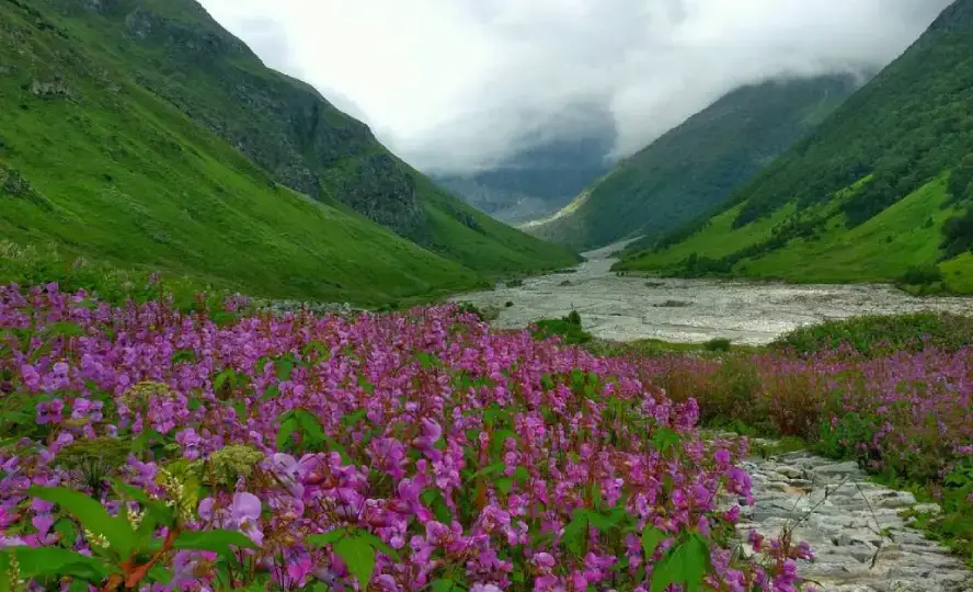 valley-of-flowers-uttarakhand-1